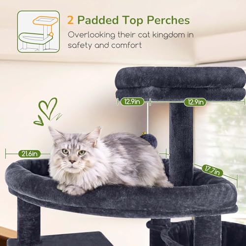 Large Cat Tree for Large Adult Cats (Dark Grey)