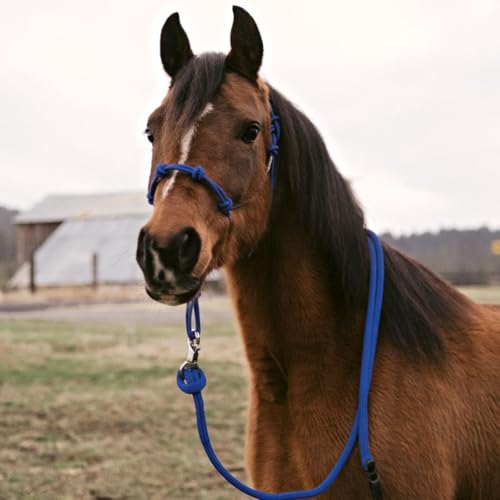 Horse Rope Training Halter (Pink / Small)