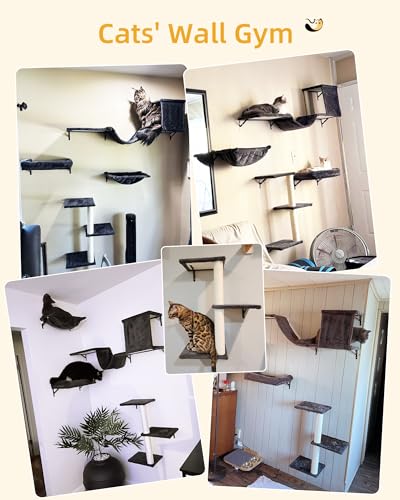 Heavy Duty Cat Wall Shelves for Large Cats