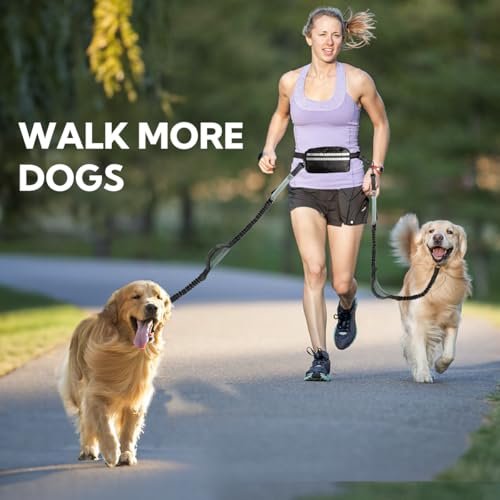 Hands Free Dog Leash for Two Dogs Walking (Grey-Green / Large)