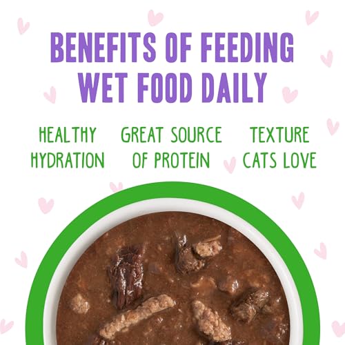 B.F.F. OMG Best Feline Friend Oh My Gravy! (2.8 Ounce (Pack of 12))
