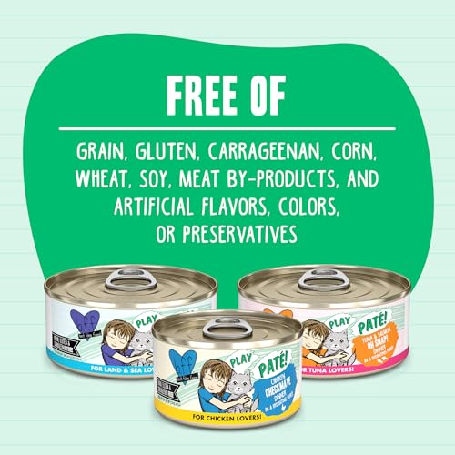 B.F.F. Play Best Feline Friend Paté Lovers (2.8 Ounce (Pack of 18))