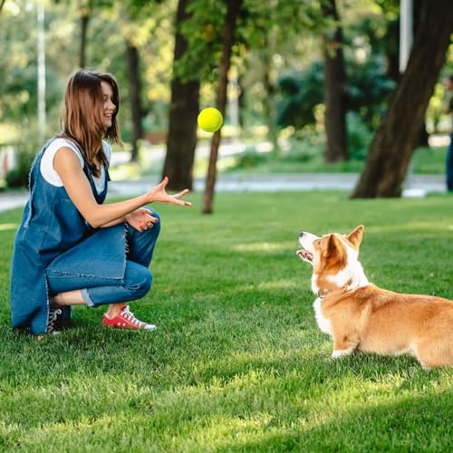 Tennis Balls for Dogs 3 Pack 2.5” (2.5" Non-Squeaky / 3 Pack, Yellow)