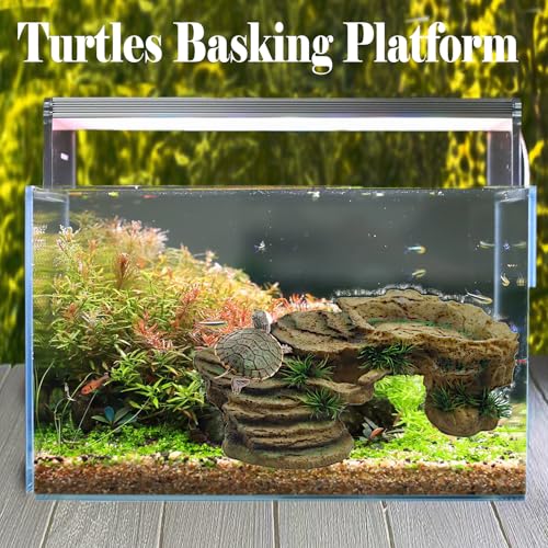 Turtle Basking Platform (Rustic)