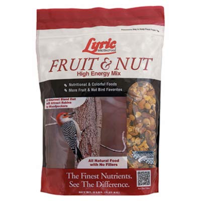 Fruit and Nut Wild Bird Seed for Outside Feeders (5 Pound (Pack of 1))