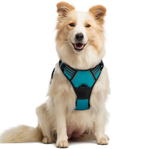 Dog Harness No Pull Medium Sized with 2 Leash Clips (Medium / Teal)