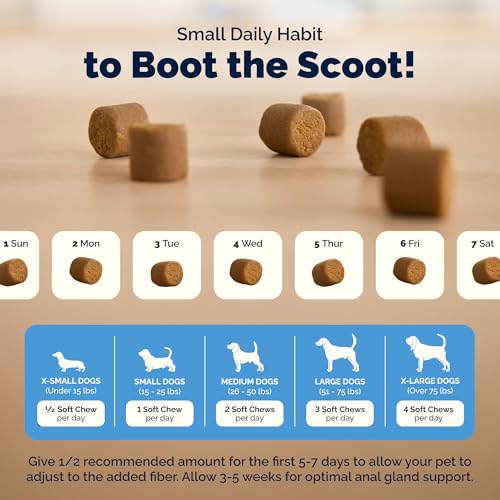 Glandex for Dogs Anal Gland Chews 60ct Pumpkin + Digestive Enzymes (60ct)
