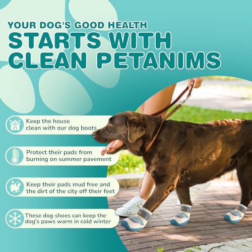 Dog Shoes for Large Dogs (Blue / Width 2.55 inches)