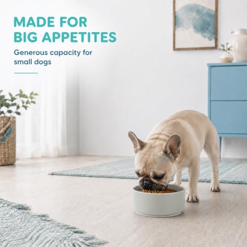 Ceramic Dog Bowls (Matte Gray)
