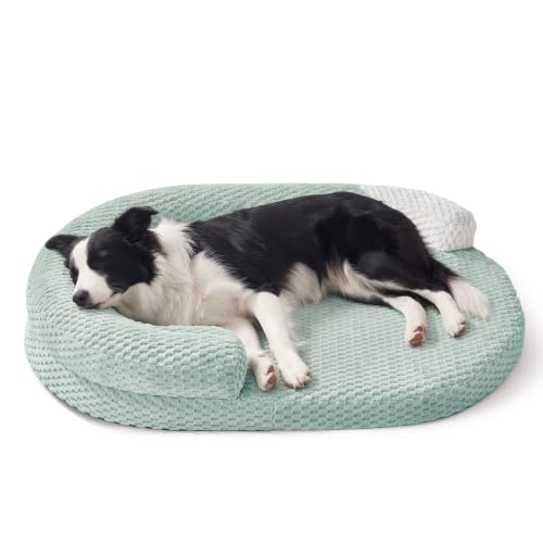 Orthopedic Dog Beds Large Sized Dog (Green / L(36"x 27"x 6"))