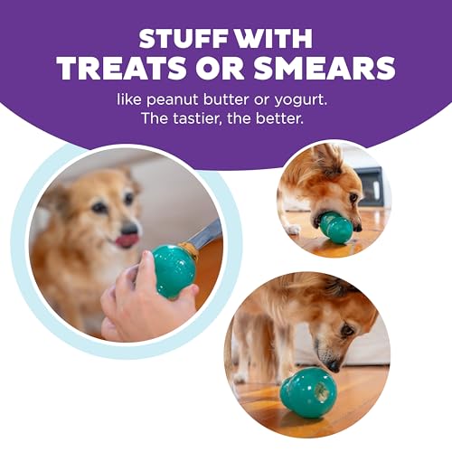 Double Tuff Stuffable Dog Toy (Medium)