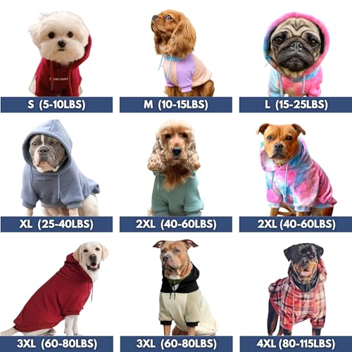 Dog Hoodie Buttery (Teal / 4XL)