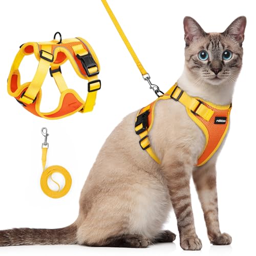 Cat Harness and Leash Set (Orange & Yellow / S)