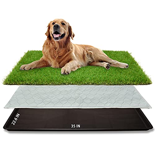 Dog Grass Pad with Tray for Dogs Puppy Potty Training to Pee & Poop Indoor (L-35"X22.6")