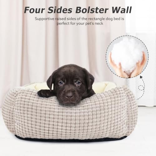 X Large Dog Bed for Large (Ivory Beige / XL(35’’x 25’’x 9’'))