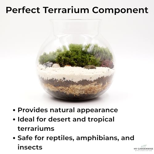 Fine Sand for Plants (Horticultural Fine Sand / 3 qt)