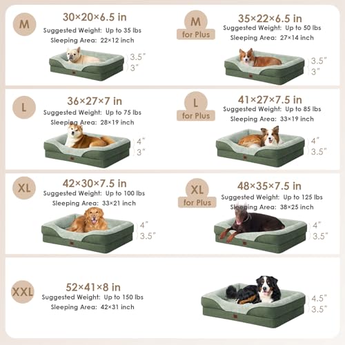 Orthopedic Dog Bed for Large Dog (Green / 41x27x7.5)