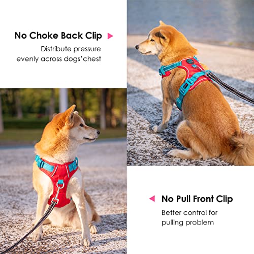 No Pull Dog Harness (Red Base & Teal Straps / Small)