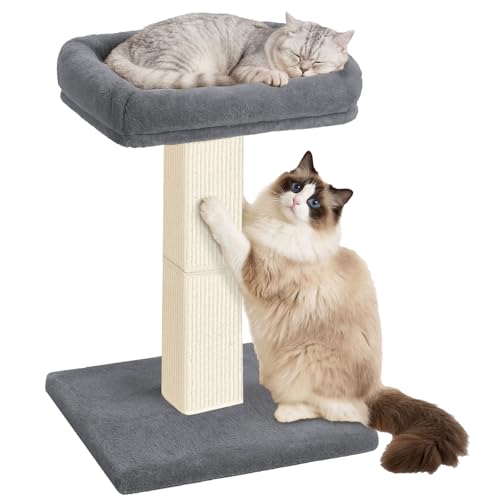 Cat Scratching Post with Plush Perch for Indoor Cats (Grey)