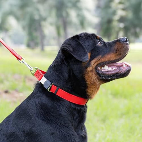 Biothane Waterproof Dog Collar with Herm Sprenger Stainless Steel Quick Release Buckle (W 1" x L 15"-25" / Cherry Red)
