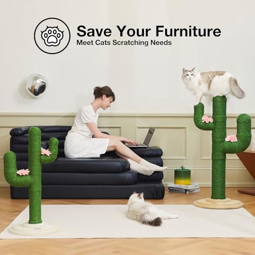 Cat Scratching Post (41.3'' Cactus)