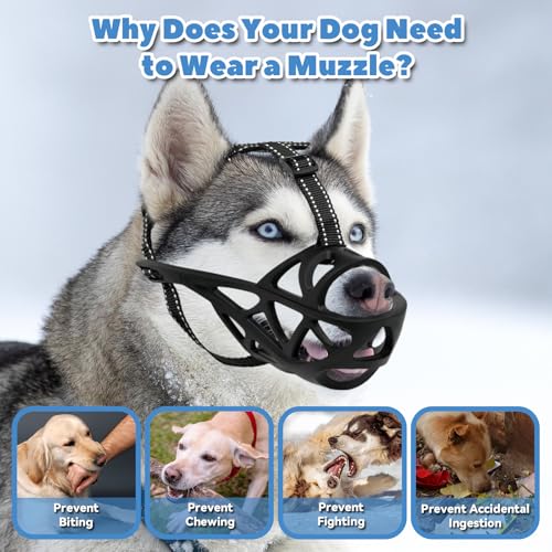 Dog Muzzle for Large Medium Dogs (Black / S)