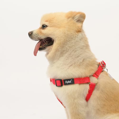 No Pull Dog Harness Small Sized Step (Red / Small)