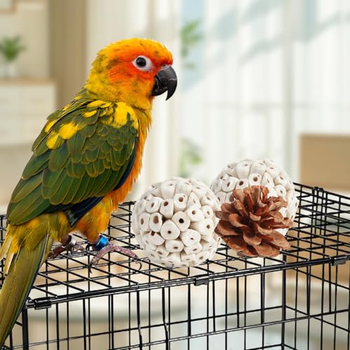 Bird Toys Parrot Toys Natural Bird Foraging Box Foot for Parakeets (Medium)