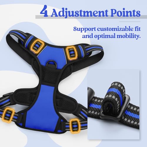Dog Harness No Pull for Large Dogs with 2 Leash Clips (X-Large / Dazzling Blue)