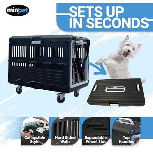 Collapsible Pet Carrier & Travel Kit (Large - Gray / with travel kit)