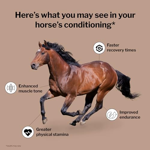 MuscleMx Muscle Supplement for Horses (10 lb Bag)
