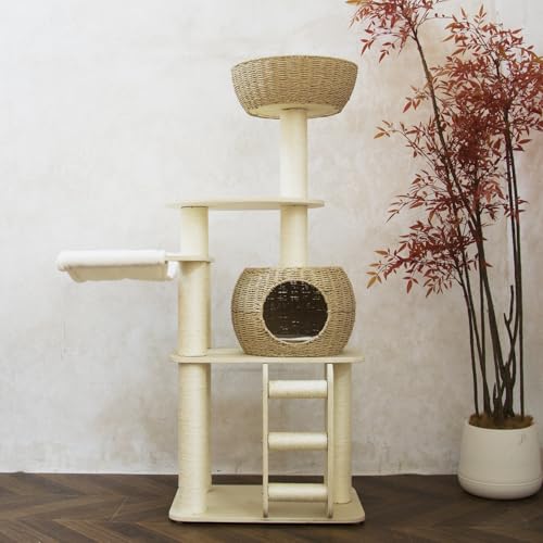 54 Inch Cat Tree for Indoor Cats (22.8"L x 15.4"W x 54"H)
