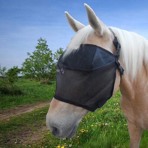 EquiVizor 95% UV Eye Protection (Mini)