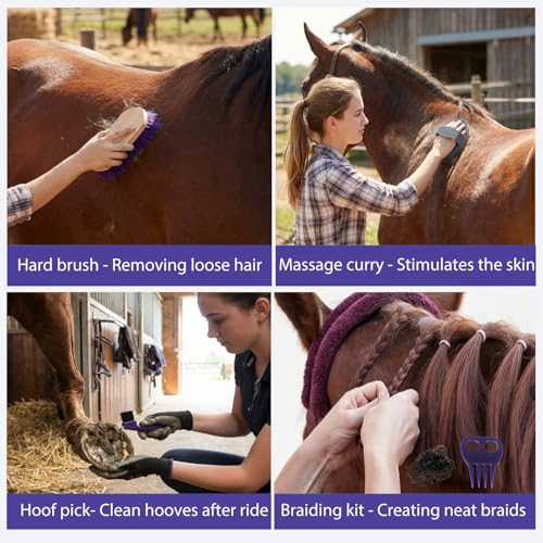 13 Piece Horse Grooming Kit (Purple)