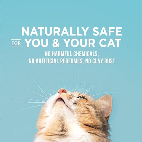 Poop Fighter Urine & Poop Odor Defense (32lb)