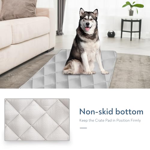 Dog Crate Pad 2 Pack (36 x 23 Inch)