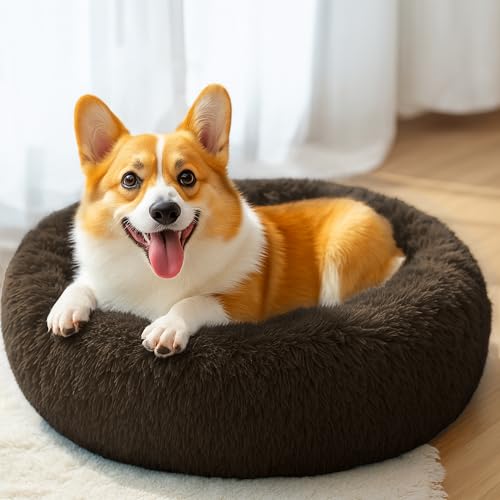 28in Large Dog Bed (Coffee / 28.0"L x 28.0"W x 8.0"Th)
