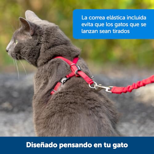 Come With Me Kitty Harness and Bungee Leash (Medium (Pack of 1) / Black)