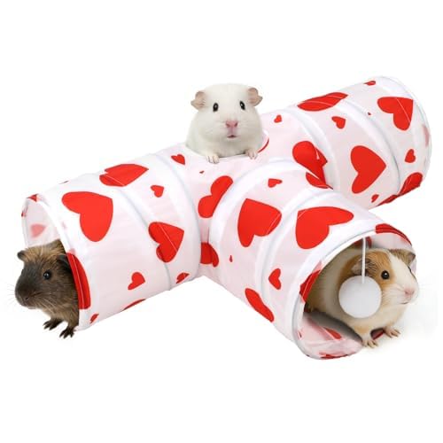 Guinea Pig Tunnel Hideout 3 (Heart)