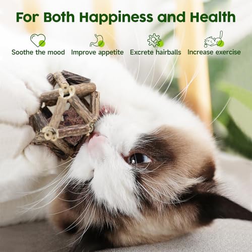 Catnip Toys 3Pcs Cat Toys Natural Silvervine Stick Cage Balls & Bell Ball for Indoor Cats
