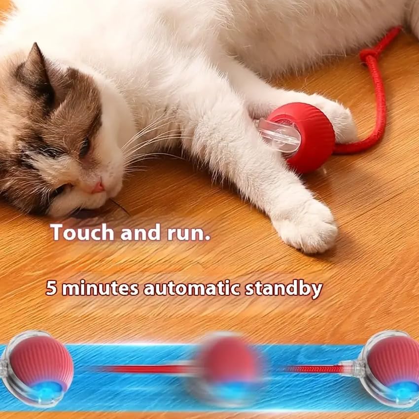 Cat and Small Dog Toy Ball with Tail Rope (Red)