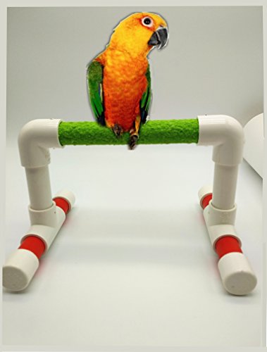 Small Bird Parrot Stand Perch Table Top Stand Playground Grind Perch Swing Training Playstand Exercise Chew Toys for Budgies Parakeet Cockatiel Conure Finch (L)