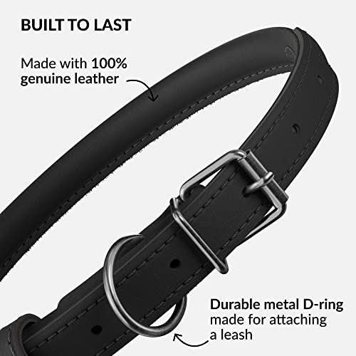 Tangle Free Rolled Leather Dog Collar (Black / XXS)