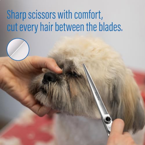 Dog Grooming Scissors