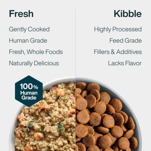 Pantry Fresh Wet Dog Food (12.5 Ounce (Pack of 6))