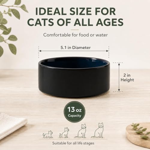Cat Bowls Set of Two (Starry Sky)