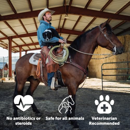 Plus All Animal Wound Care Hydrogel Spray (16 Fl Oz (Pack of 1) / Trigger)