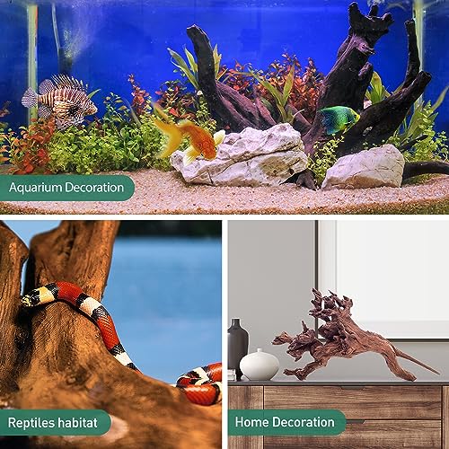 3 PCS Natural Driftwood for Aquarium Decor Fish Tank Decorations (Mopani driftwood （7-11 inch pack of 3）)