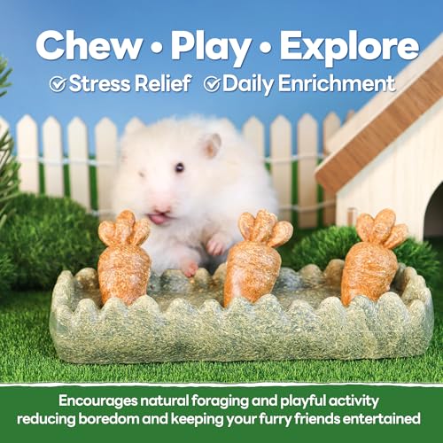 Guinea Pig Chew Toys (4PCS-Grass Patch & Carrots)