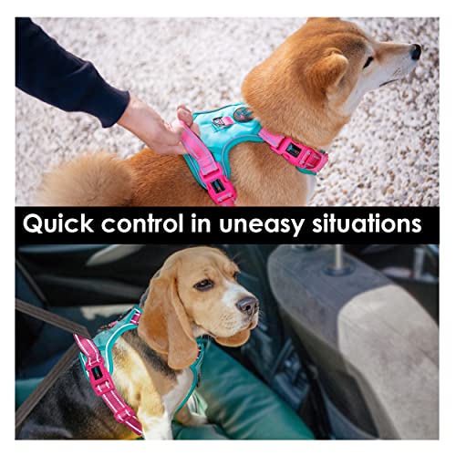 No Pull Dog Harness (Mint Green Base & Pink Straps / Extra Small)